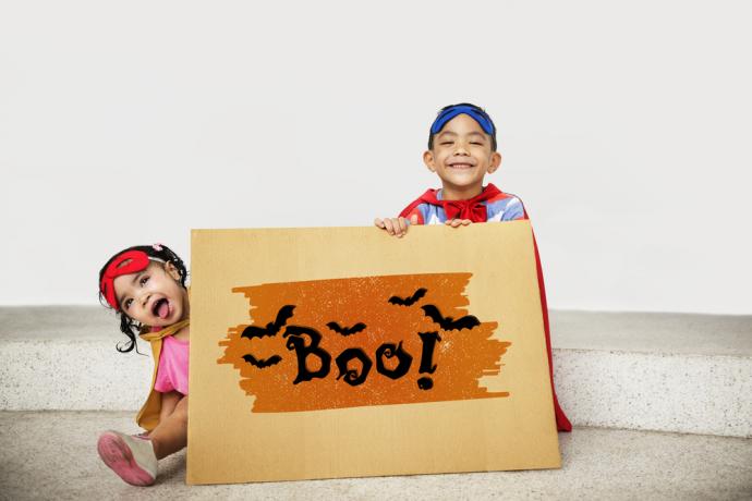 Many shoppers may have sticker shock when looking for their costumes and rush to find cheaper alternatives for their Halloween needs this year, but they should be extremely careful when browsing online.